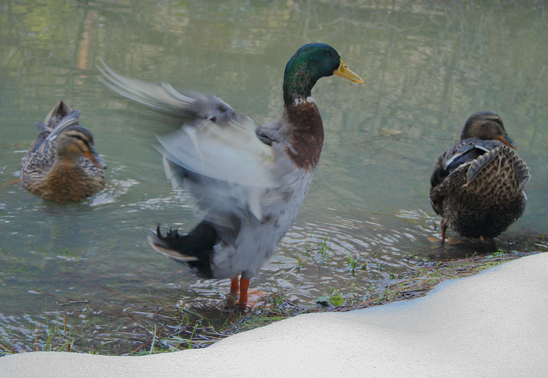 MÃ©nage Ã  trois