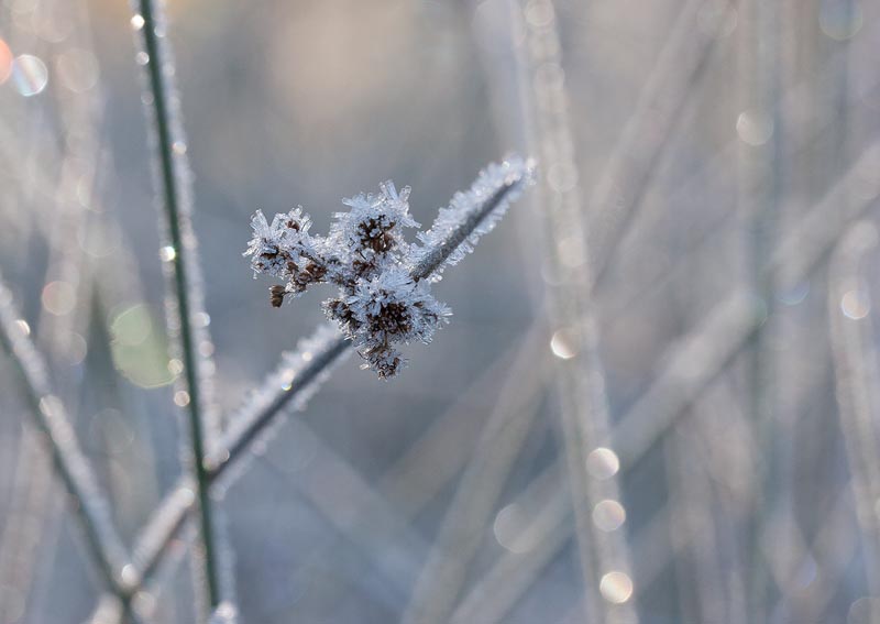 To a Simple New Year