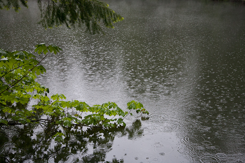 Memorial Day Showers