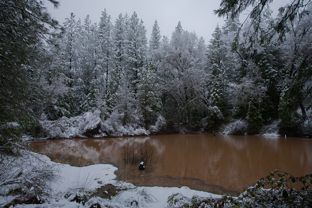 Homage to Spring Snowstorms 1