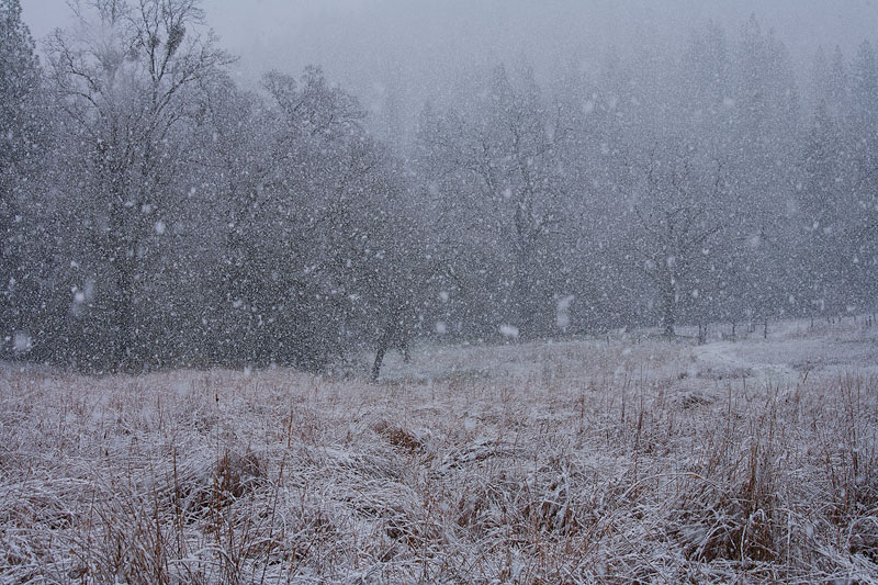 Sudden Snowstorm