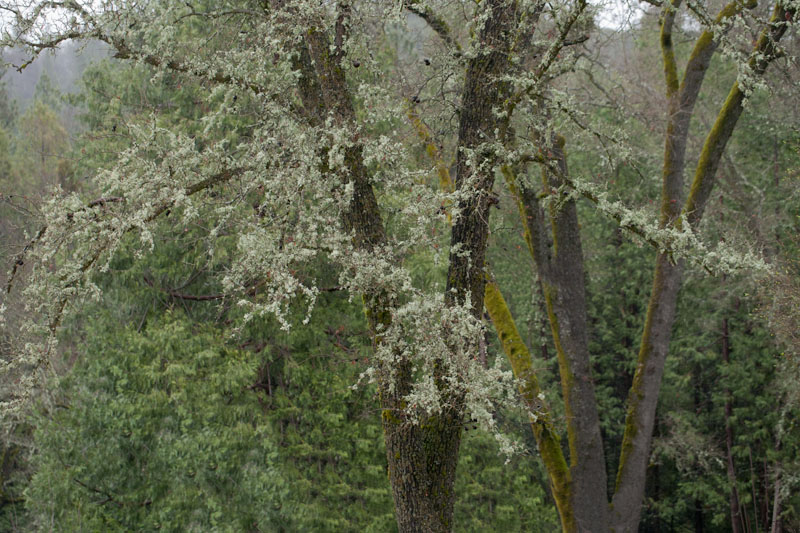 Calm Before the Storm